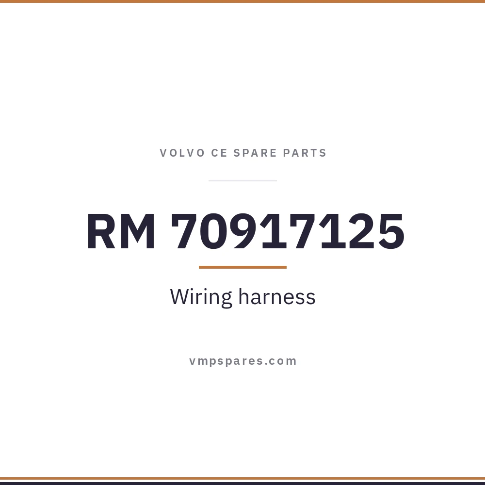 RM 70917125 – Wiring harness