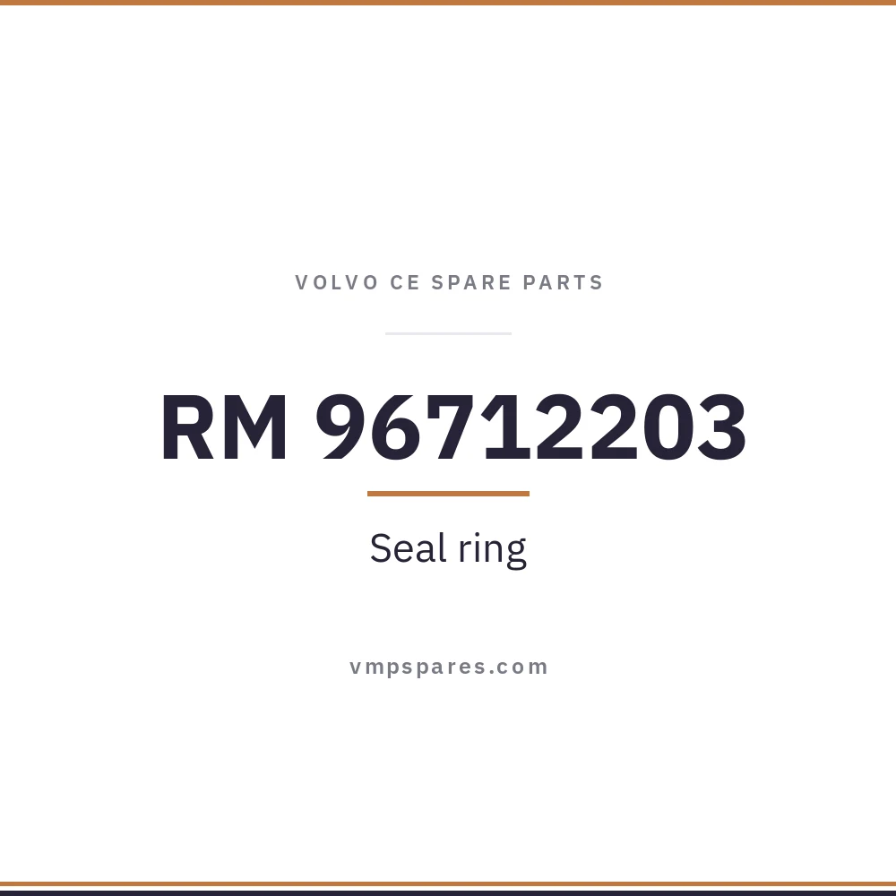 RM 96712203 – Seal ring
