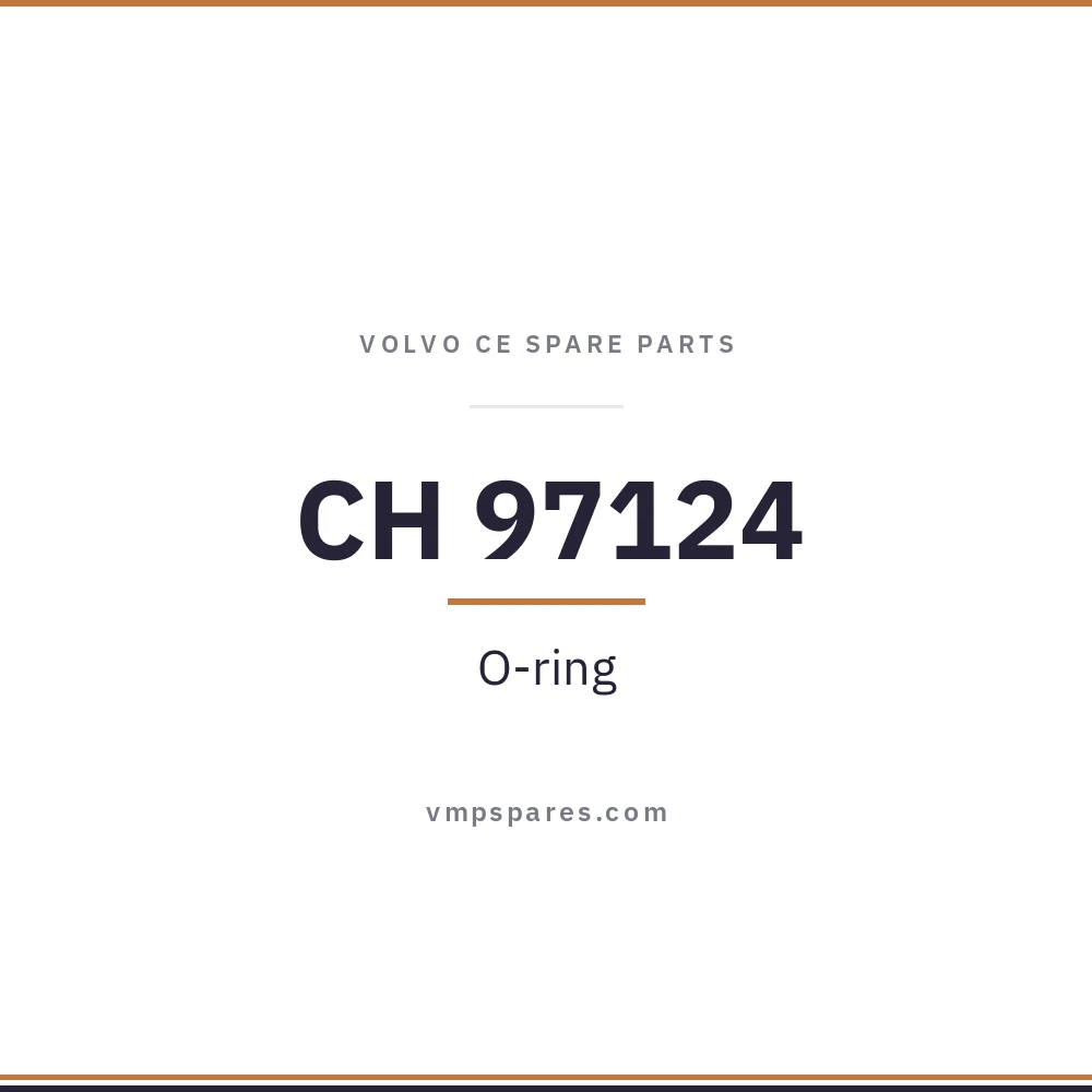 CH 97124 – O-ring