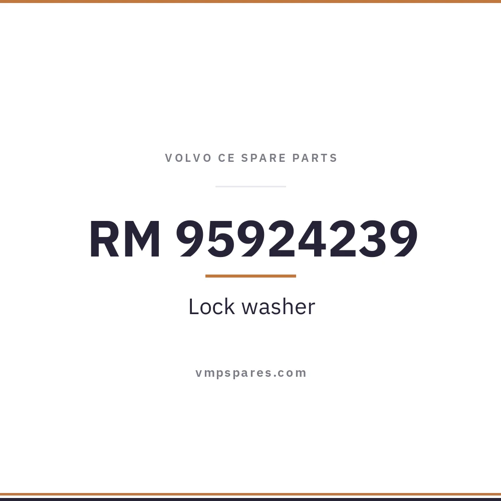 RM 95924239 – Lock washer