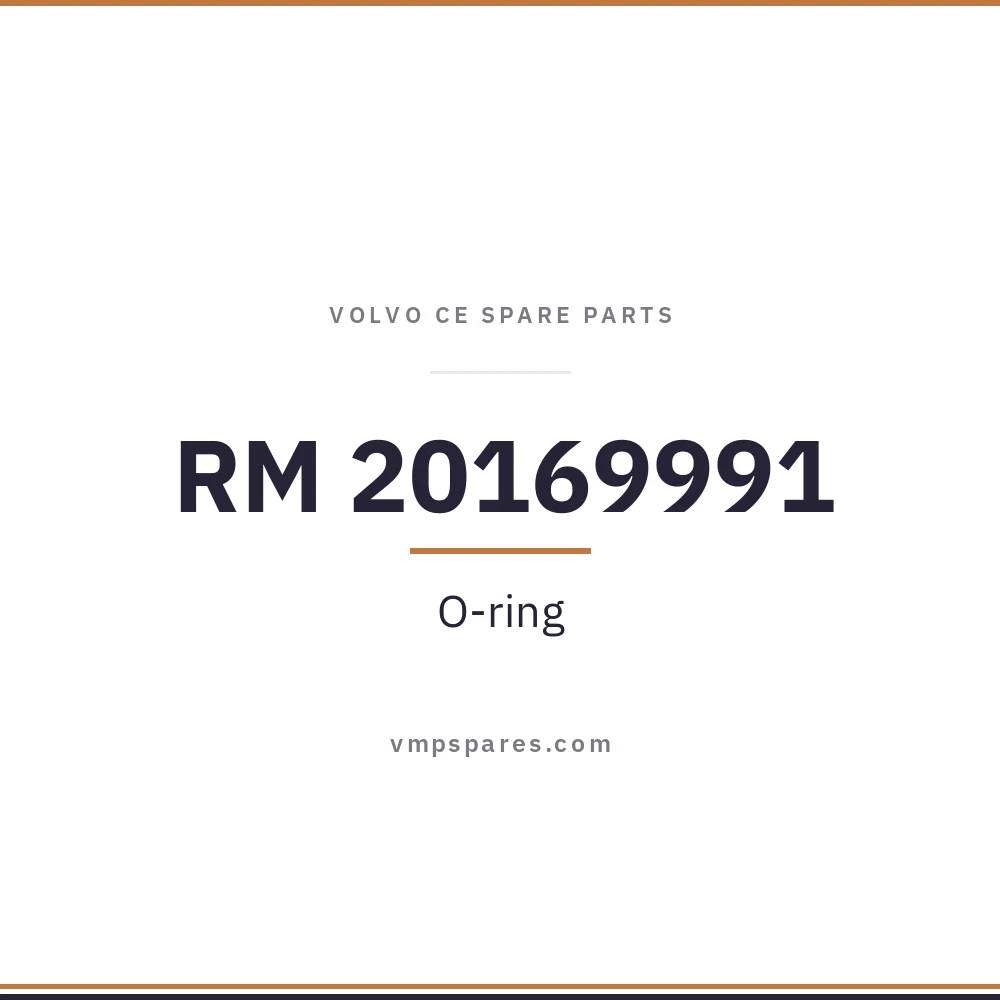 RM 20169991 – O-ring