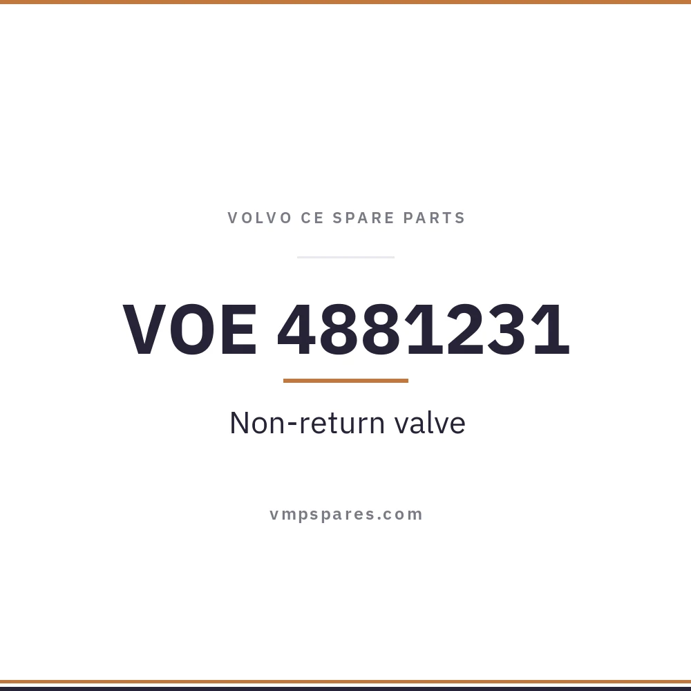 VOE 4881231 – Non-return valve
