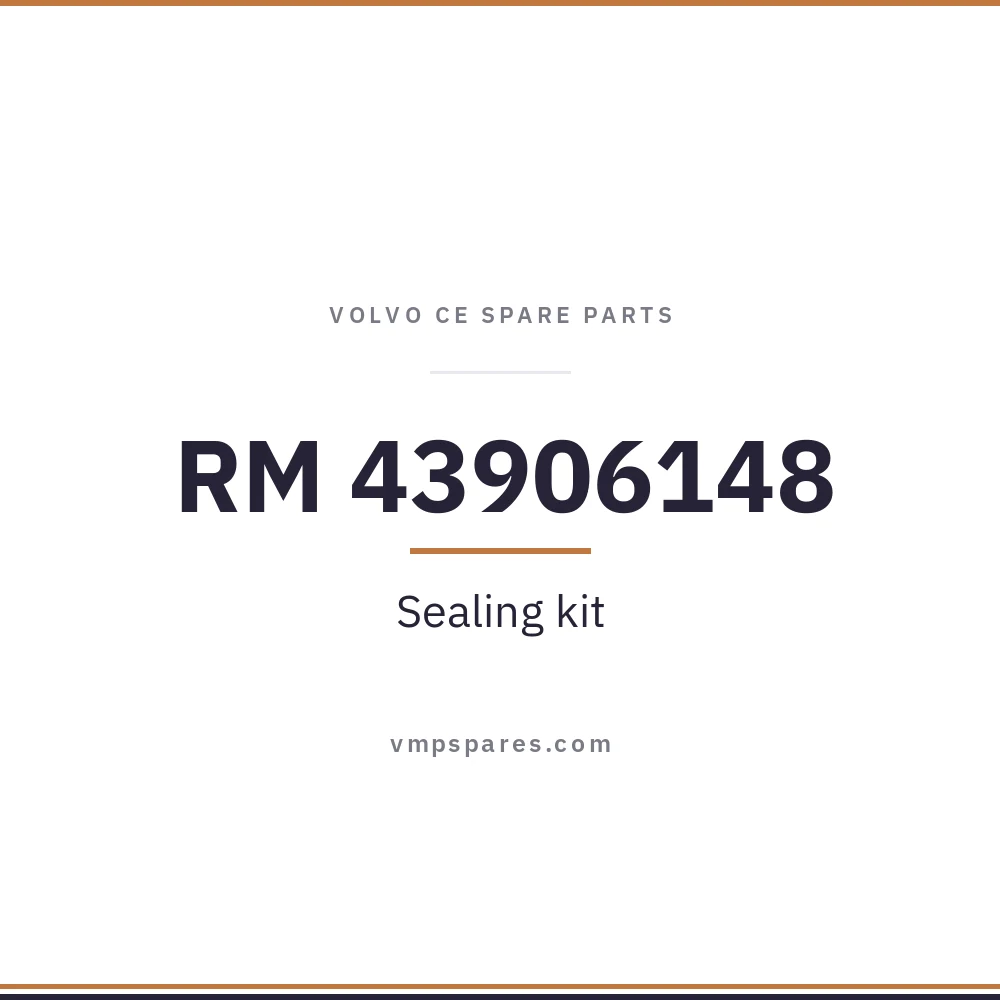 RM 43906148 – Sealing kit