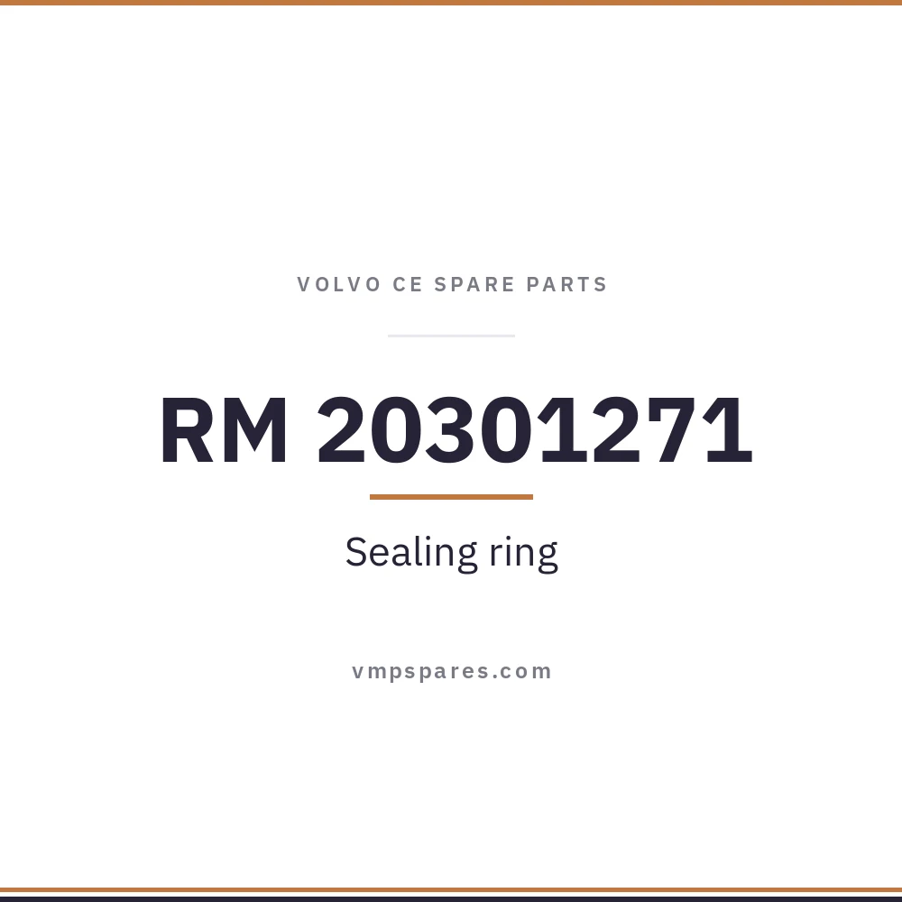 RM 20301271 – Sealing ring