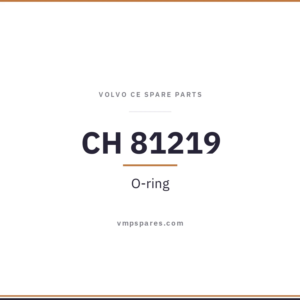 CH 81219 – O-ring