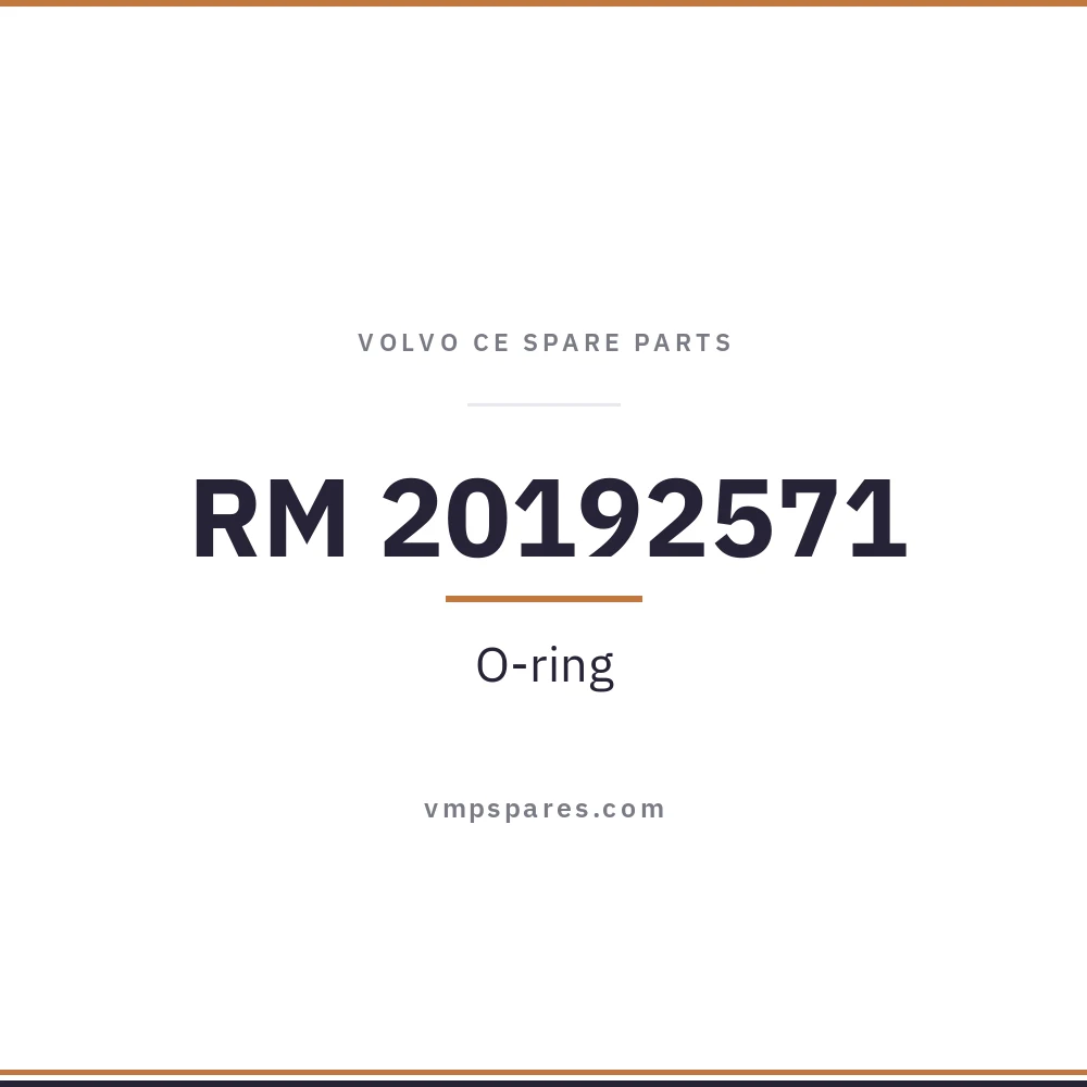 RM 20192571 – O-ring