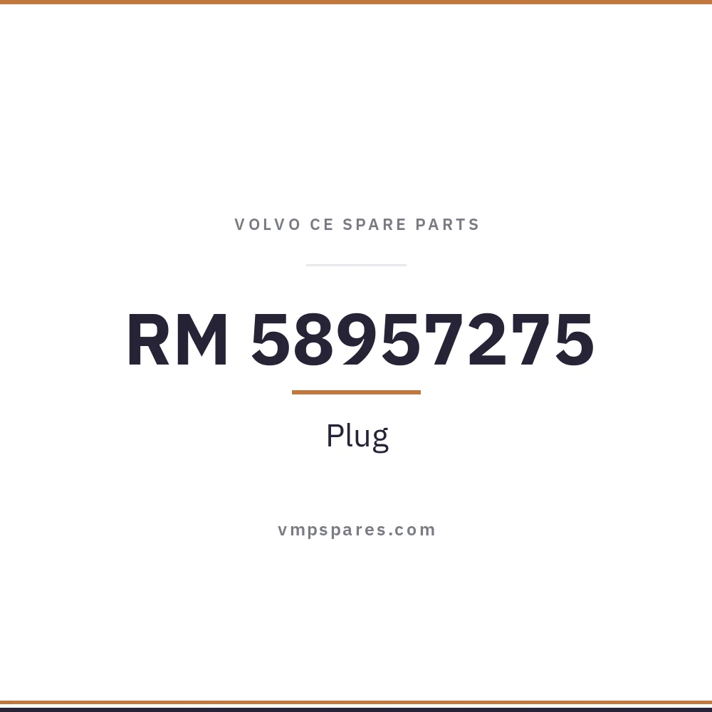 RM 58957275 – Plug