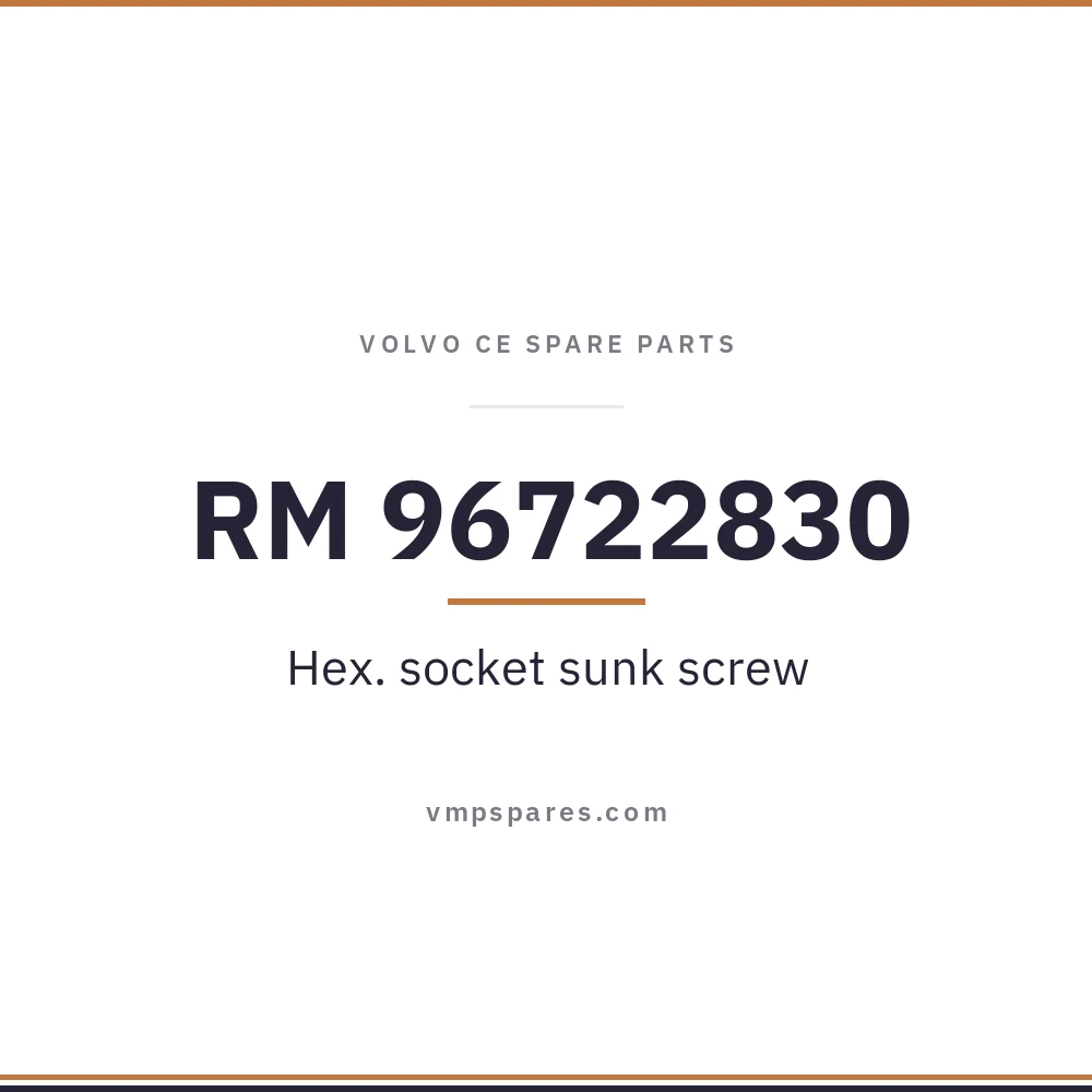 RM 96722830 – Hex. socket sunk screw