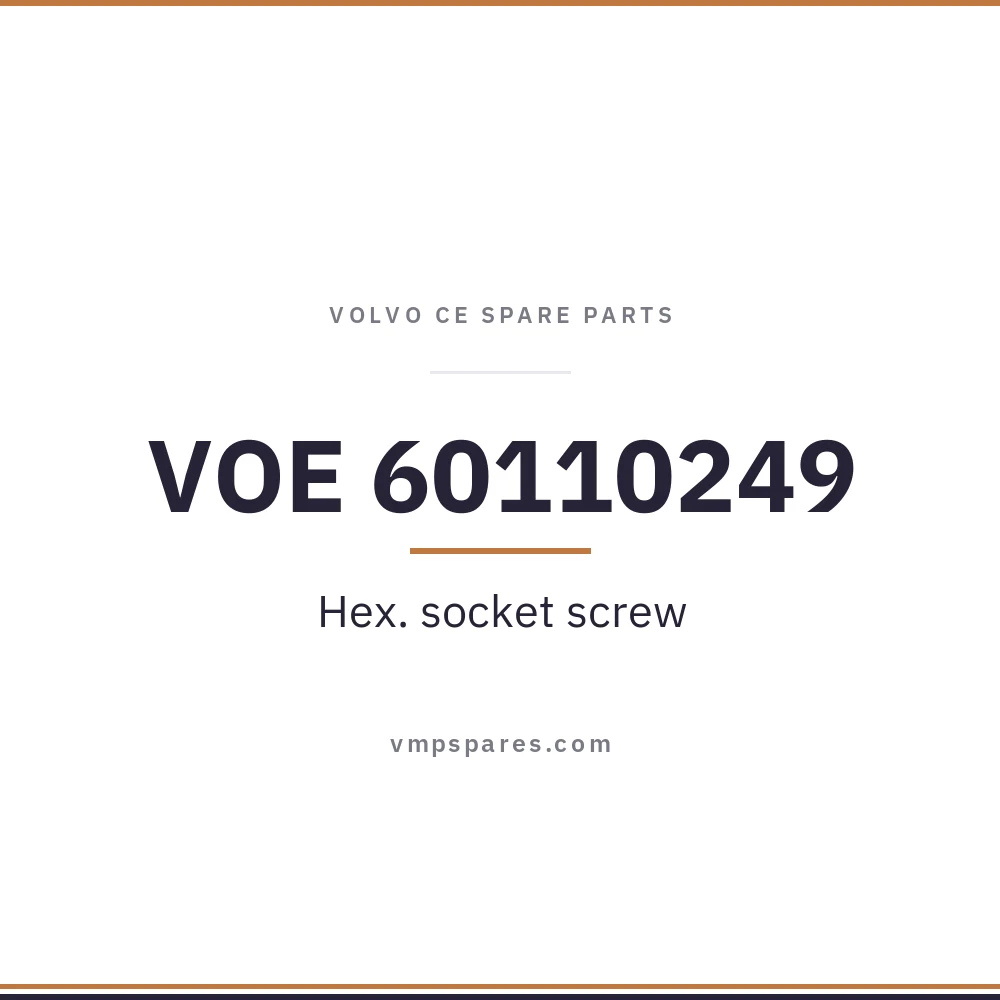 VOE 60110249 – Hex. socket screw