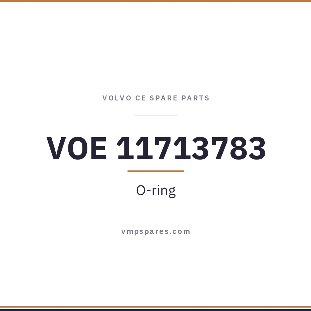 VOE 11713783 – O-ring
