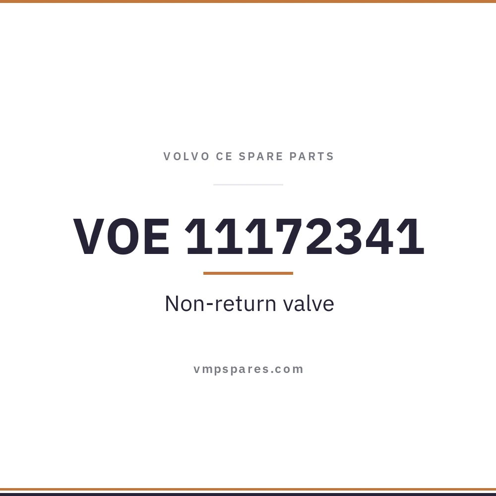 VOE 11172341 – Non-return valve