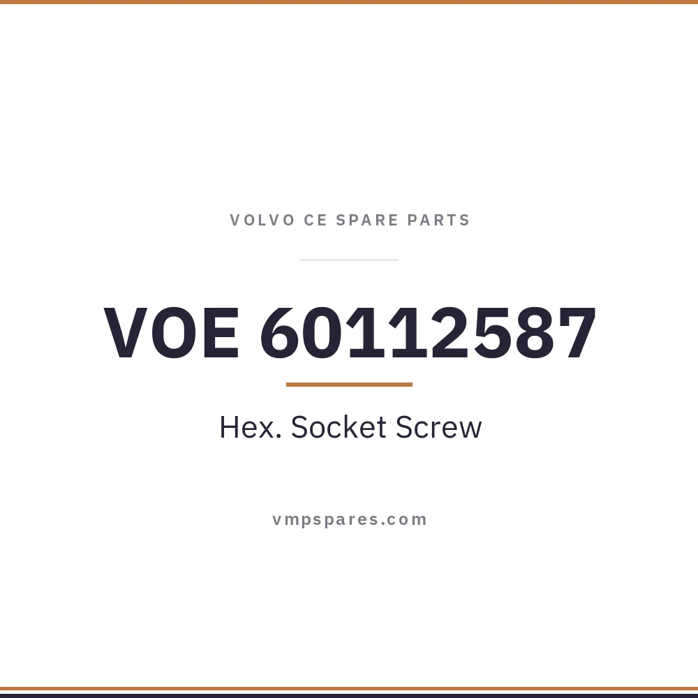 VOE 60112587 – Hex. Socket Screw