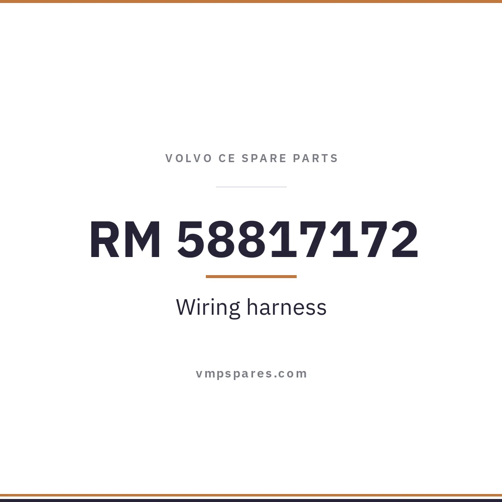 RM 58817172 – Wiring harness