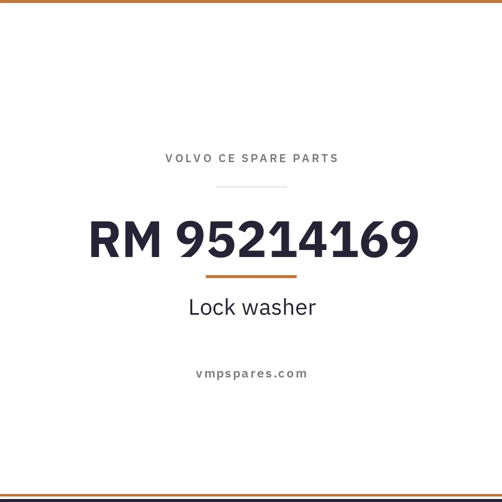 RM 95214169 – Lock washer
