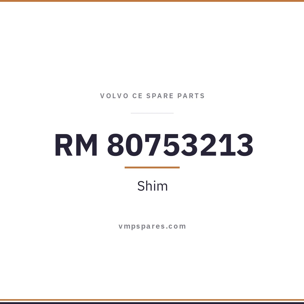 RM 80753213 – Shim