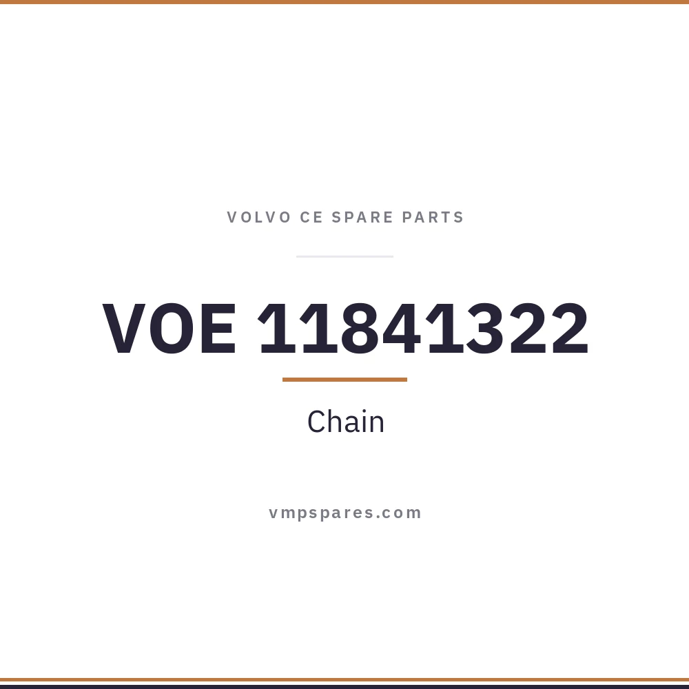 VOE 11841322 – Chain