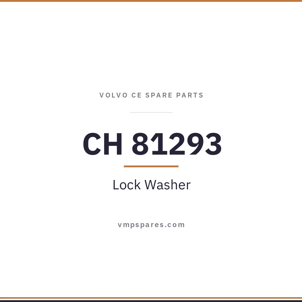 CH 81293 – Lock Washer