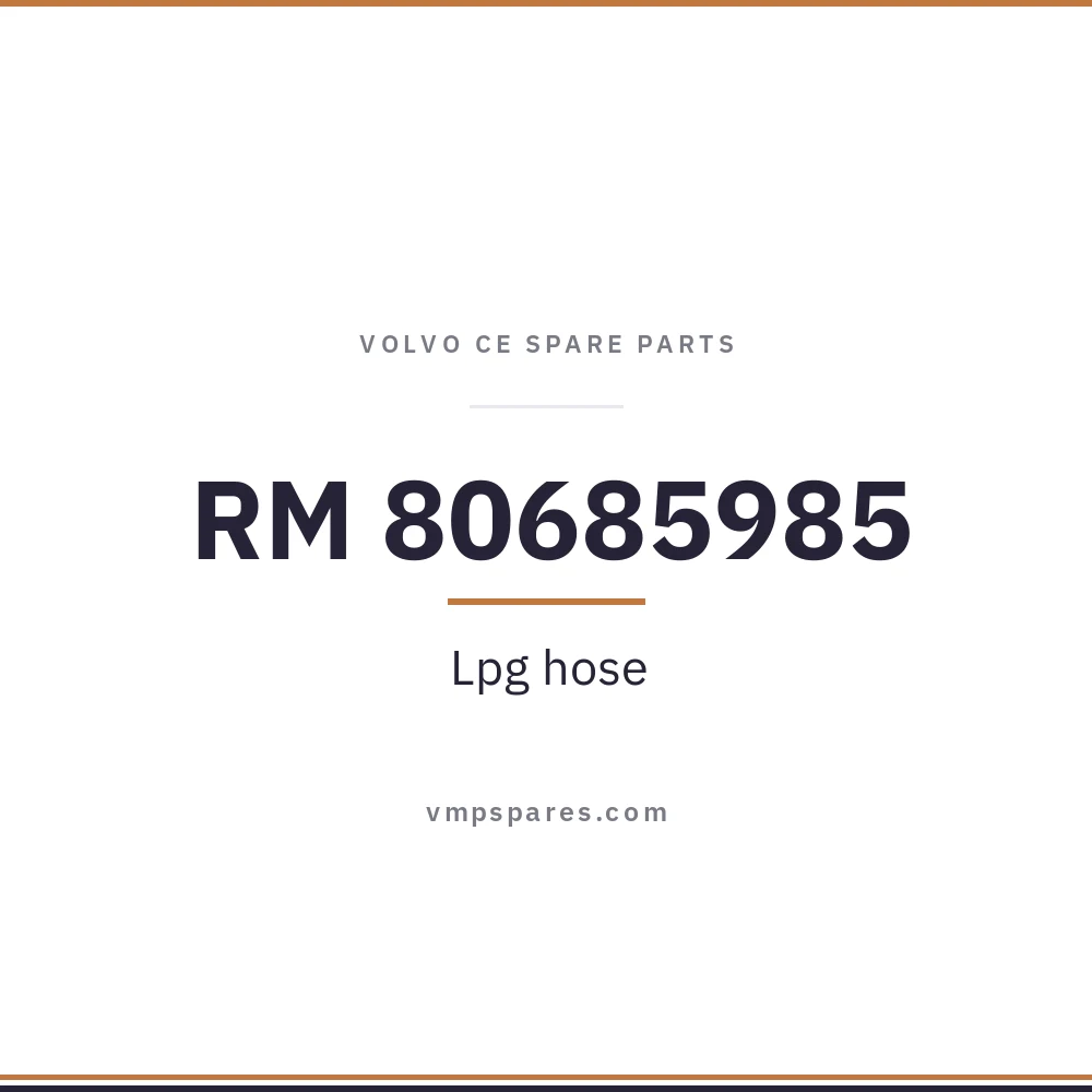 RM 80685985 – Lpg hose