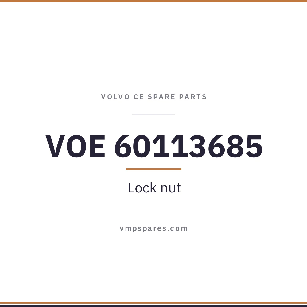 VOE 60113685 – Lock nut