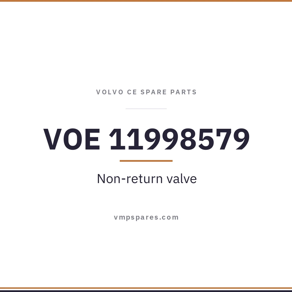 VOE 11998579 – Non-return valve