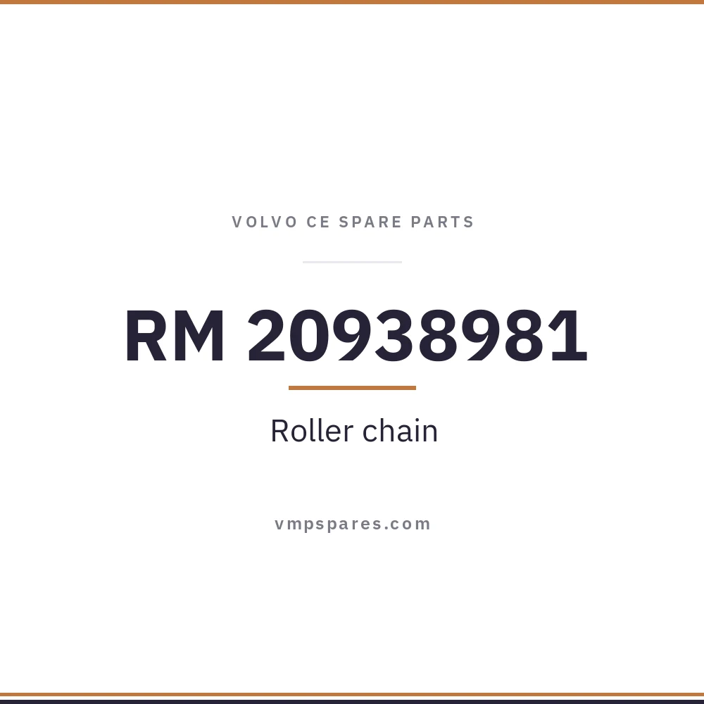 RM 20938981 – Roller chain
