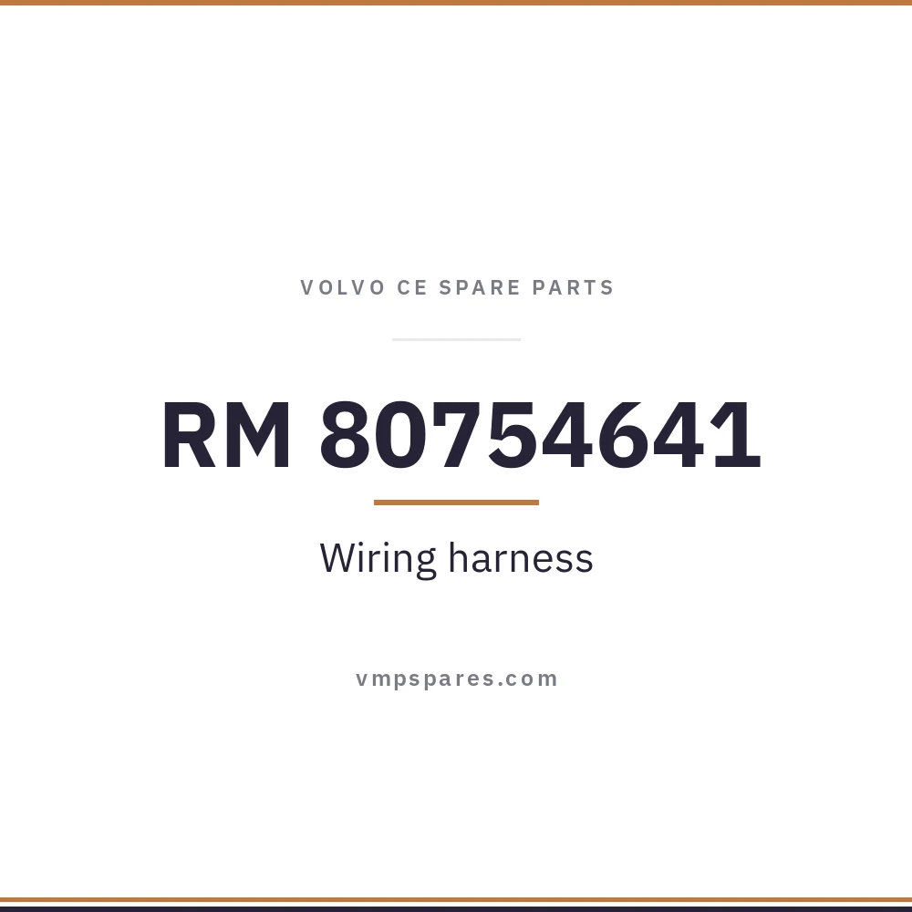 RM 80754641 – Wiring harness