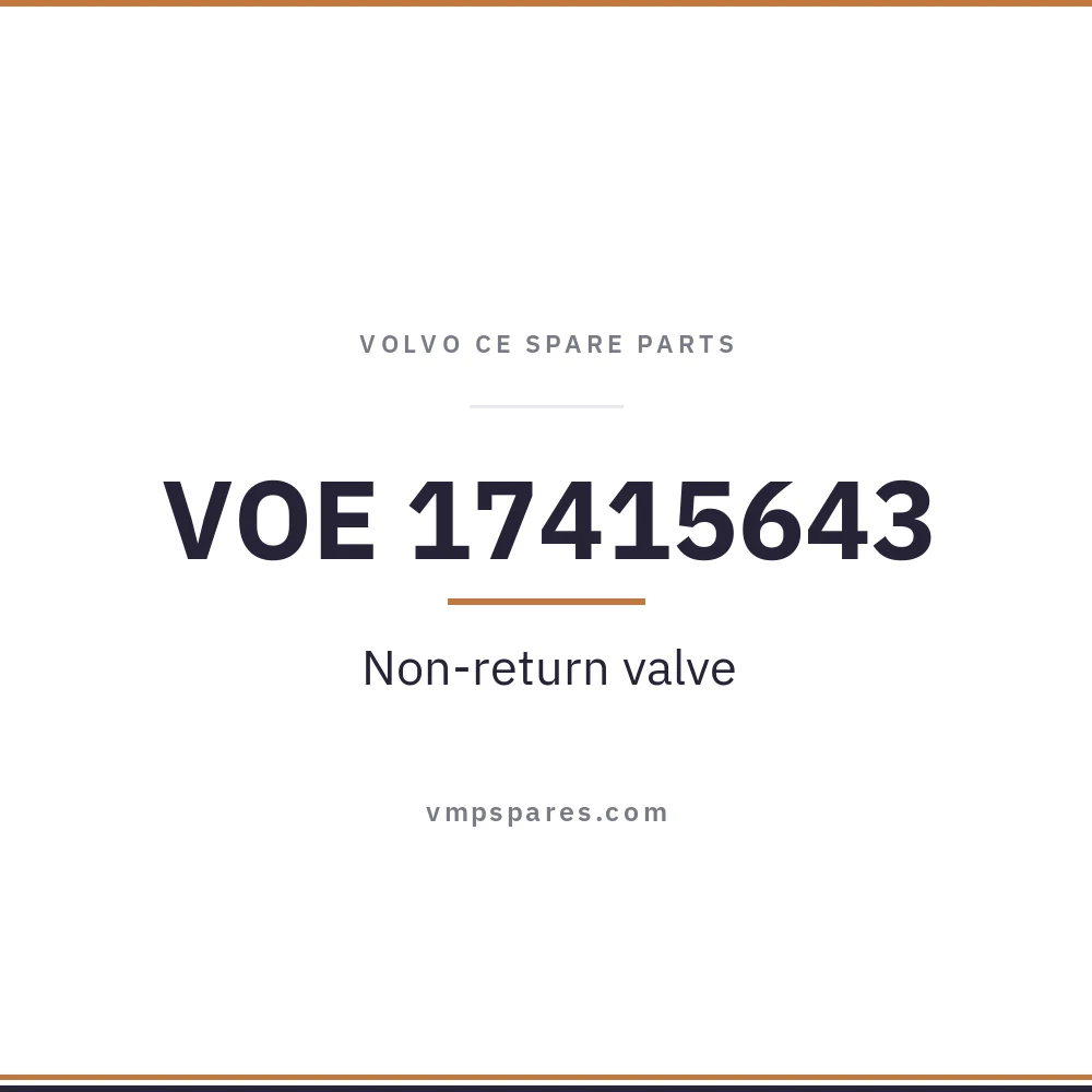 VOE 17415643 – Non-return valve