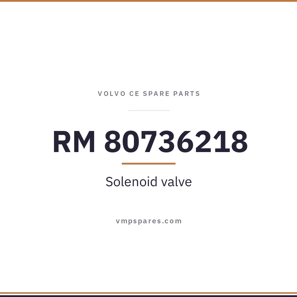 RM 80736218 – Solenoid valve