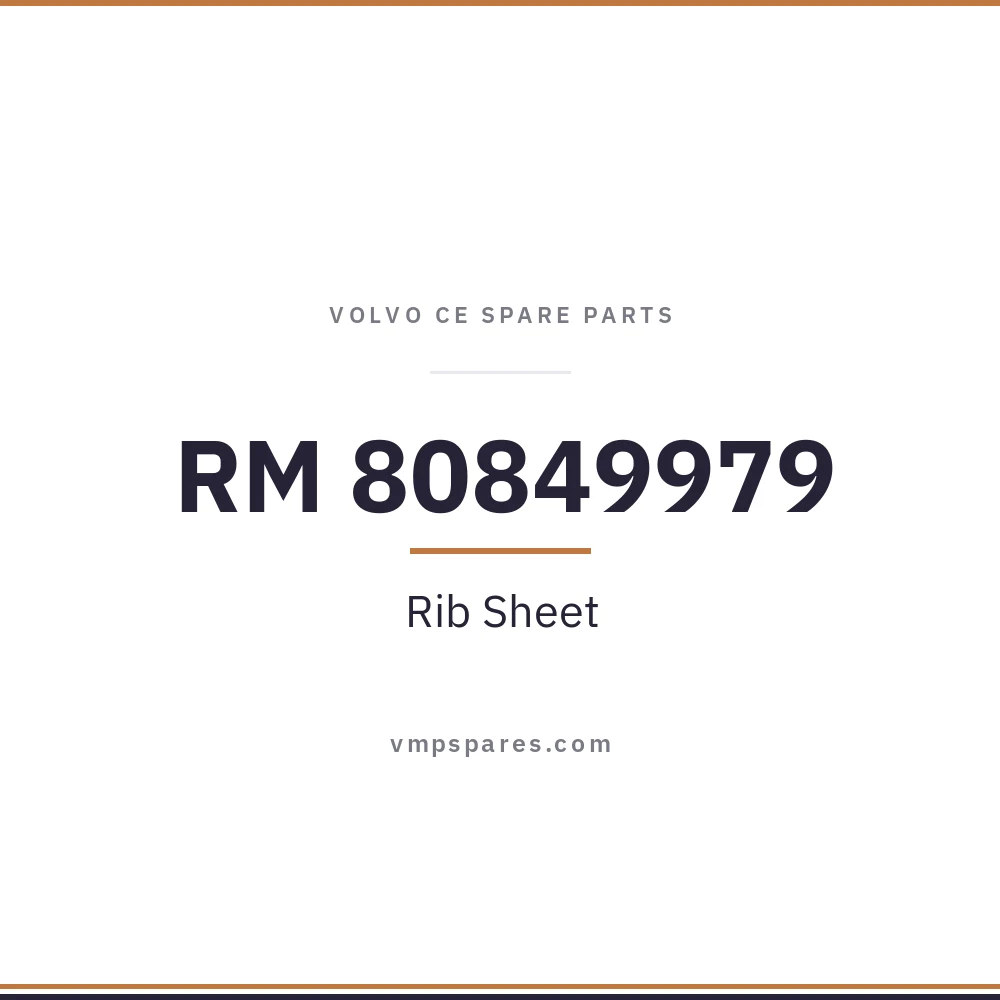 RM 80849979 – Rib Sheet