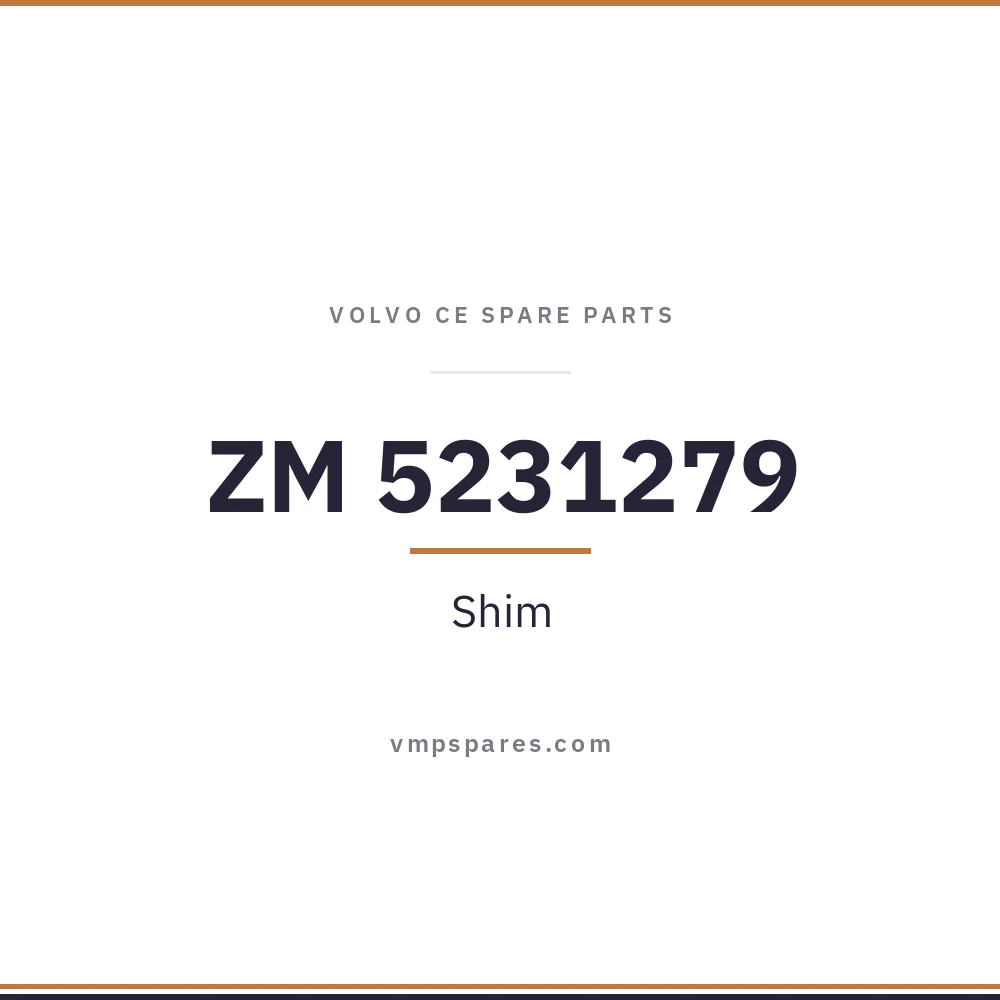 ZM 5231279 – Shim