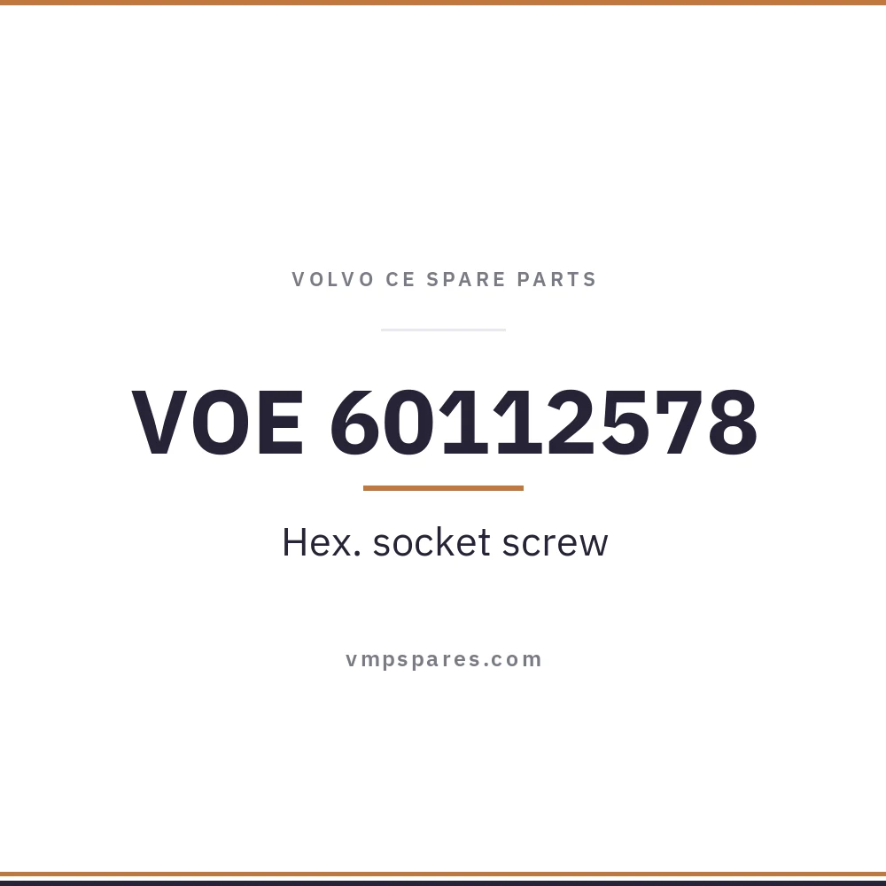 VOE 60112578 – Hex. socket screw