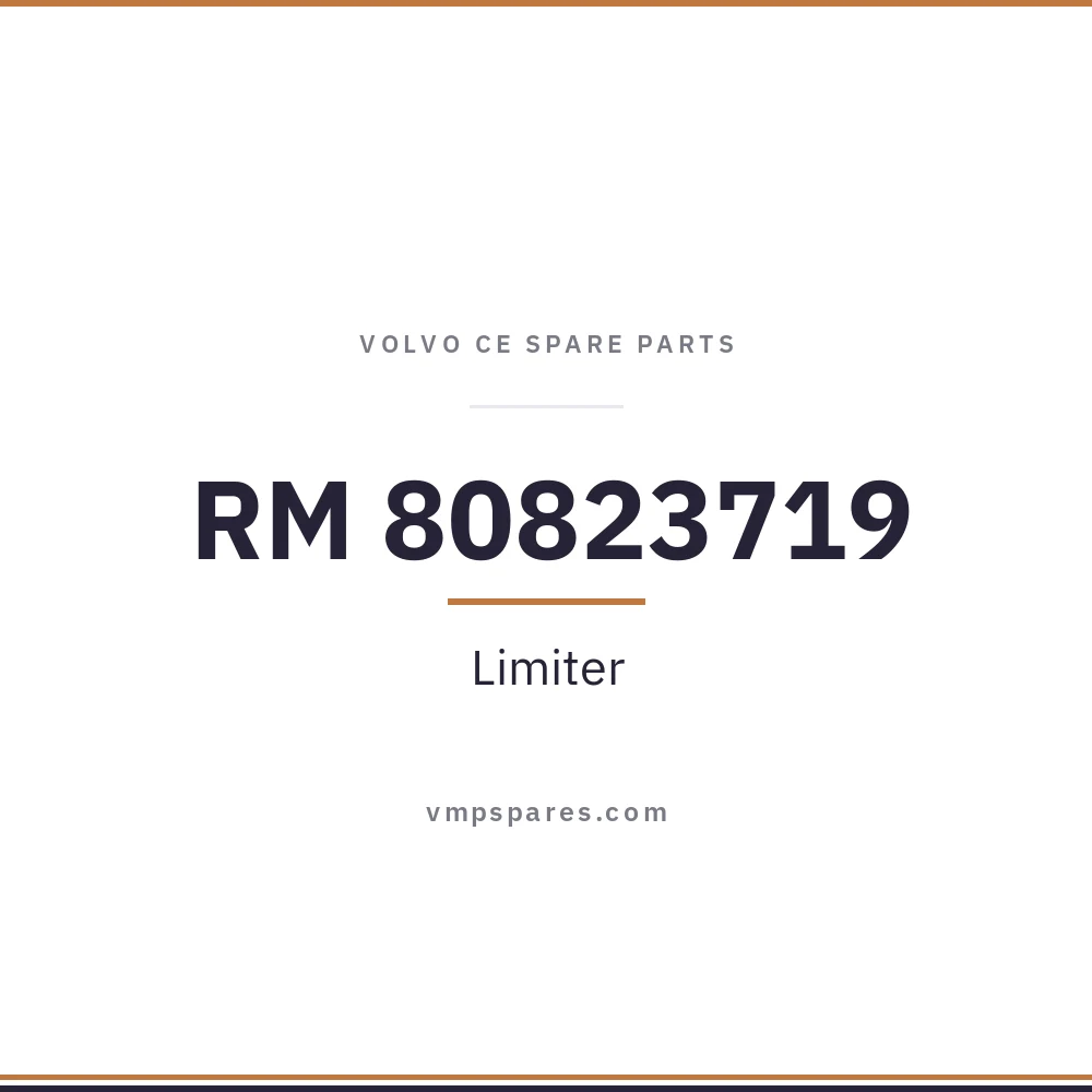 RM 80823719 – Limiter