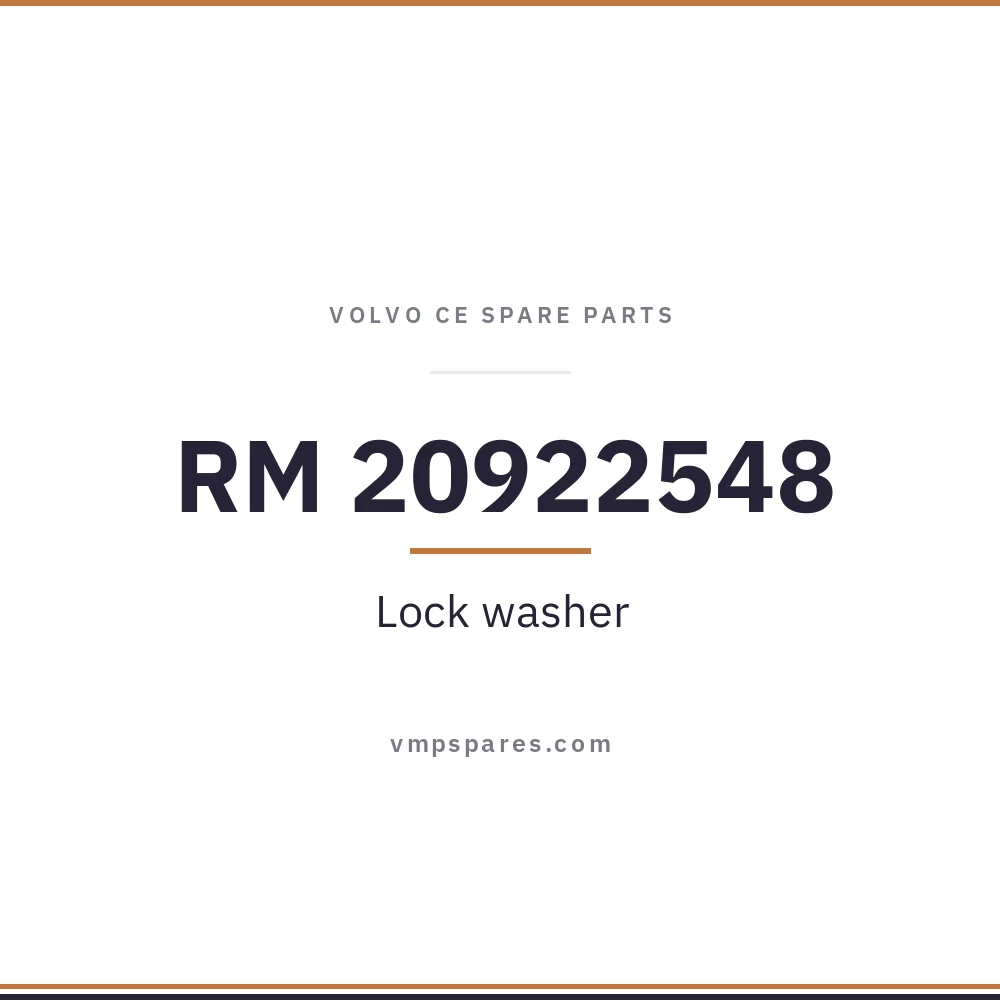 RM 20922548 – Lock washer