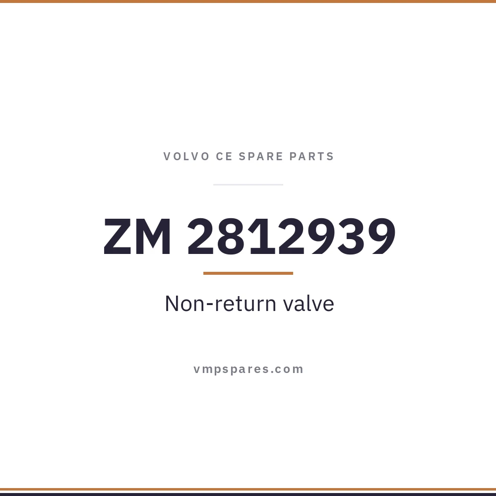 ZM 2812939 – Non-return valve