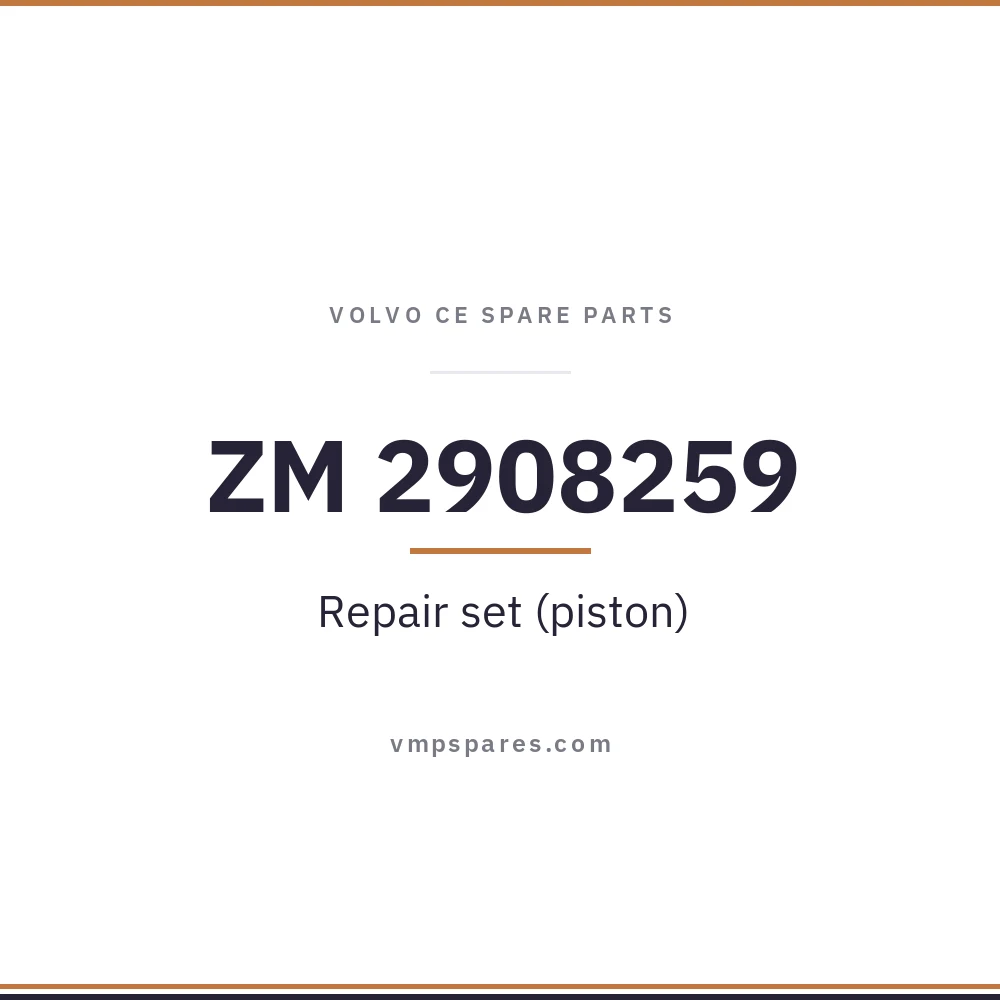ZM 2908259 – Repair set (piston)
