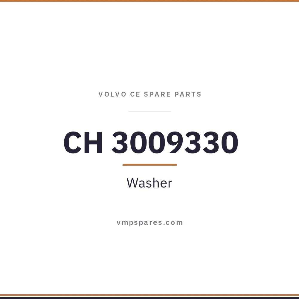 CH 3009330 – Washer