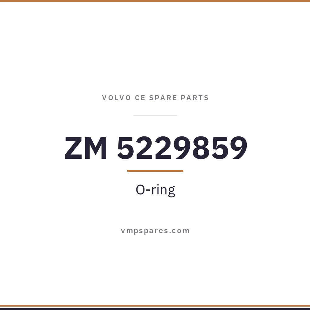 ZM 5229859 – O-ring