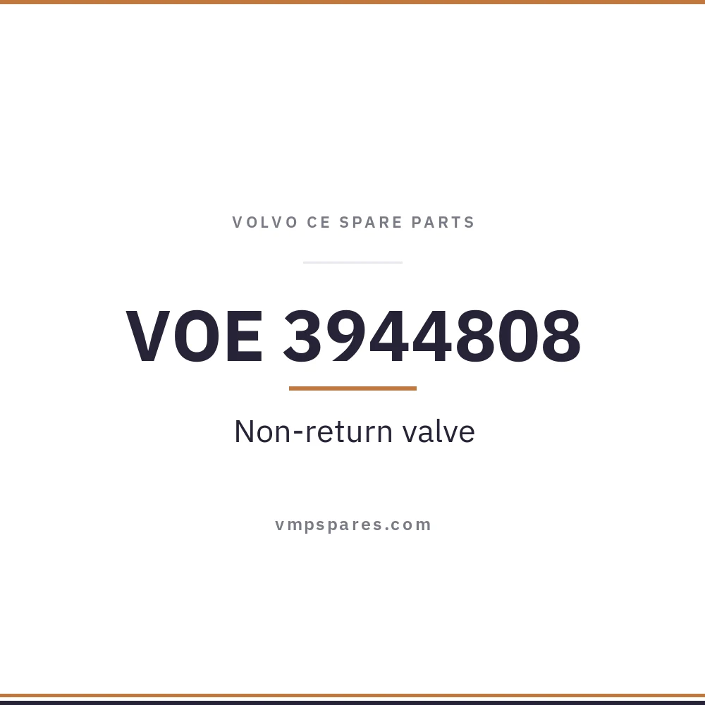 VOE 3944808 – Non-return valve