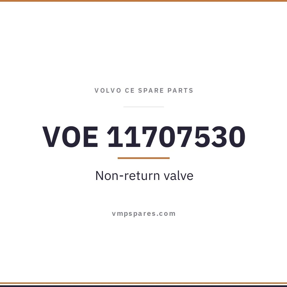 VOE 11707530 – Non-return valve
