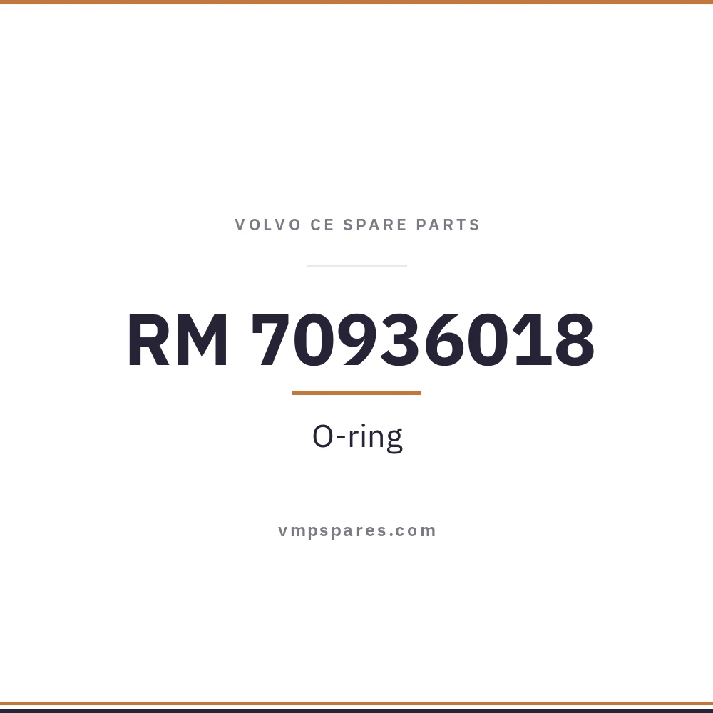 RM 70936018 – O-ring