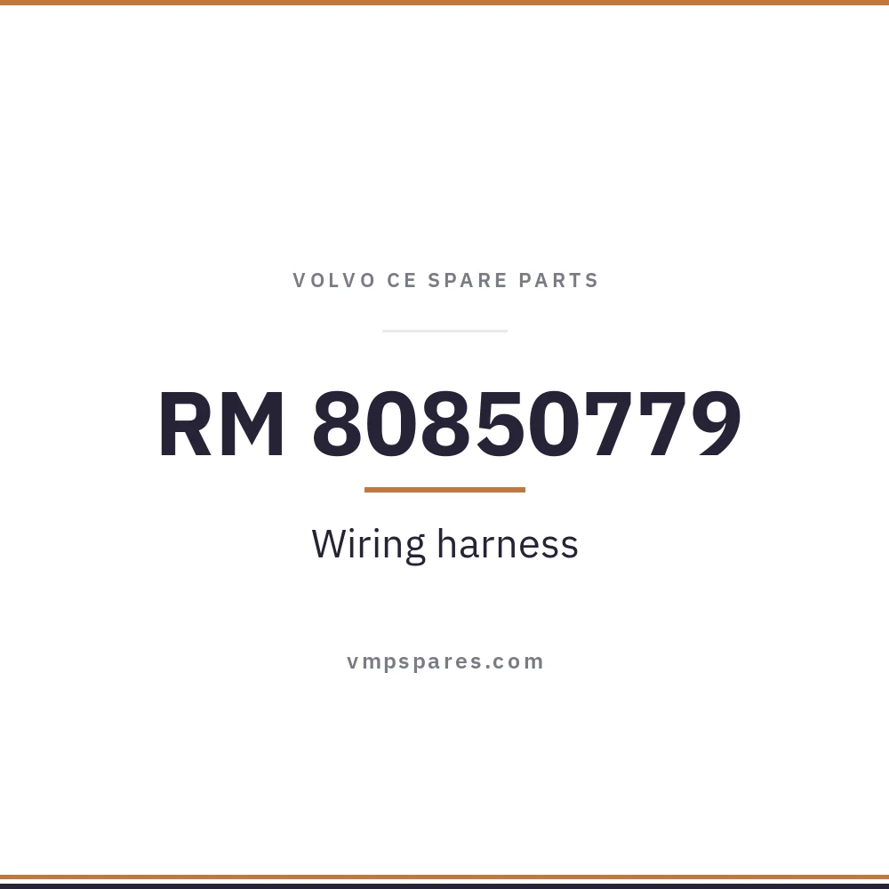 RM 80850779 – Wiring harness