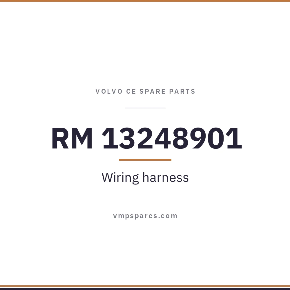 RM 13248901 – Wiring harness