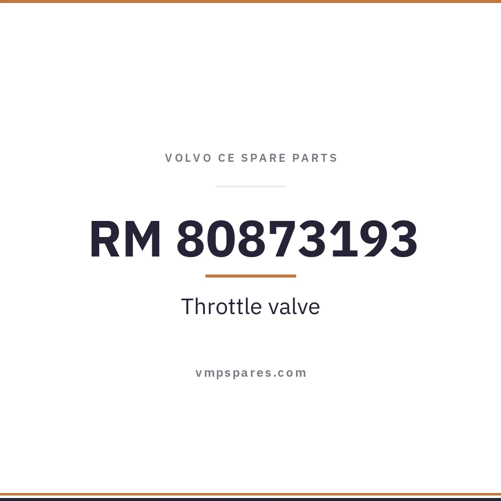 RM 80873193 – Throttle valve