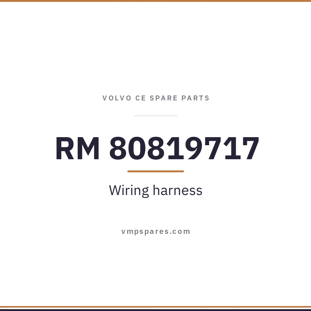 RM 80819717 – Wiring harness