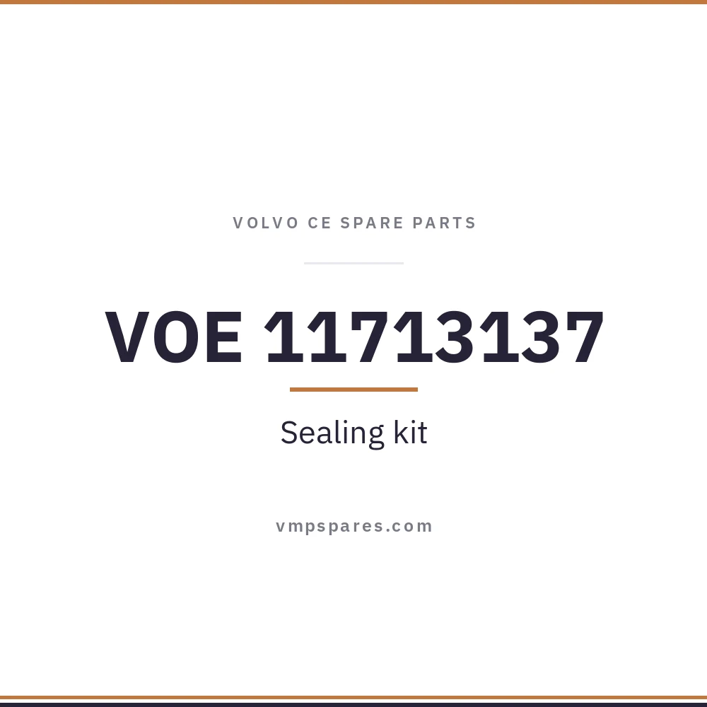 VOE 11713137 – Sealing kit