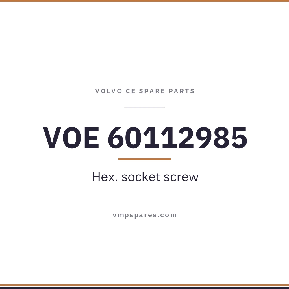 VOE 60112985 – Hex. socket screw