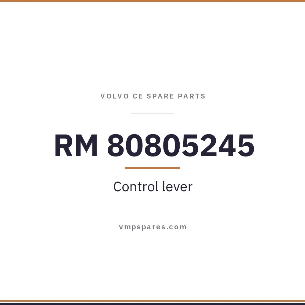 RM 80805245 – Control lever