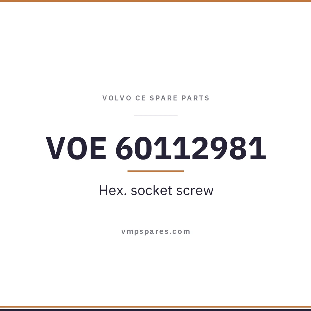 VOE 60112981 – Hex. socket screw