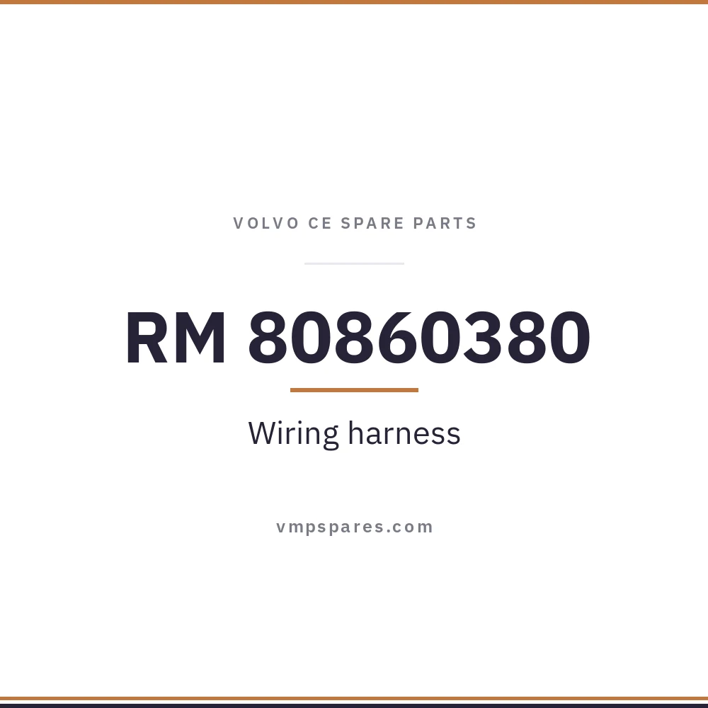 RM 80860380 – Wiring harness