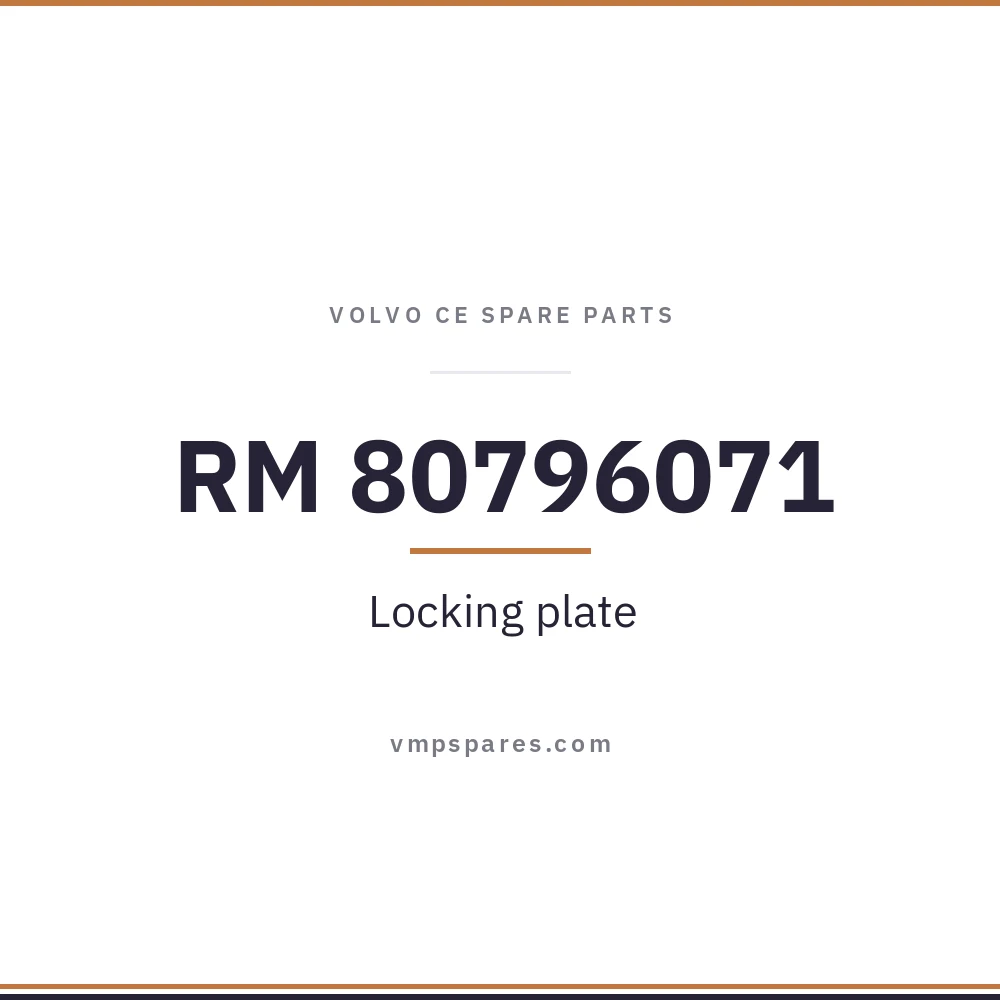 RM 80796071 – Locking plate